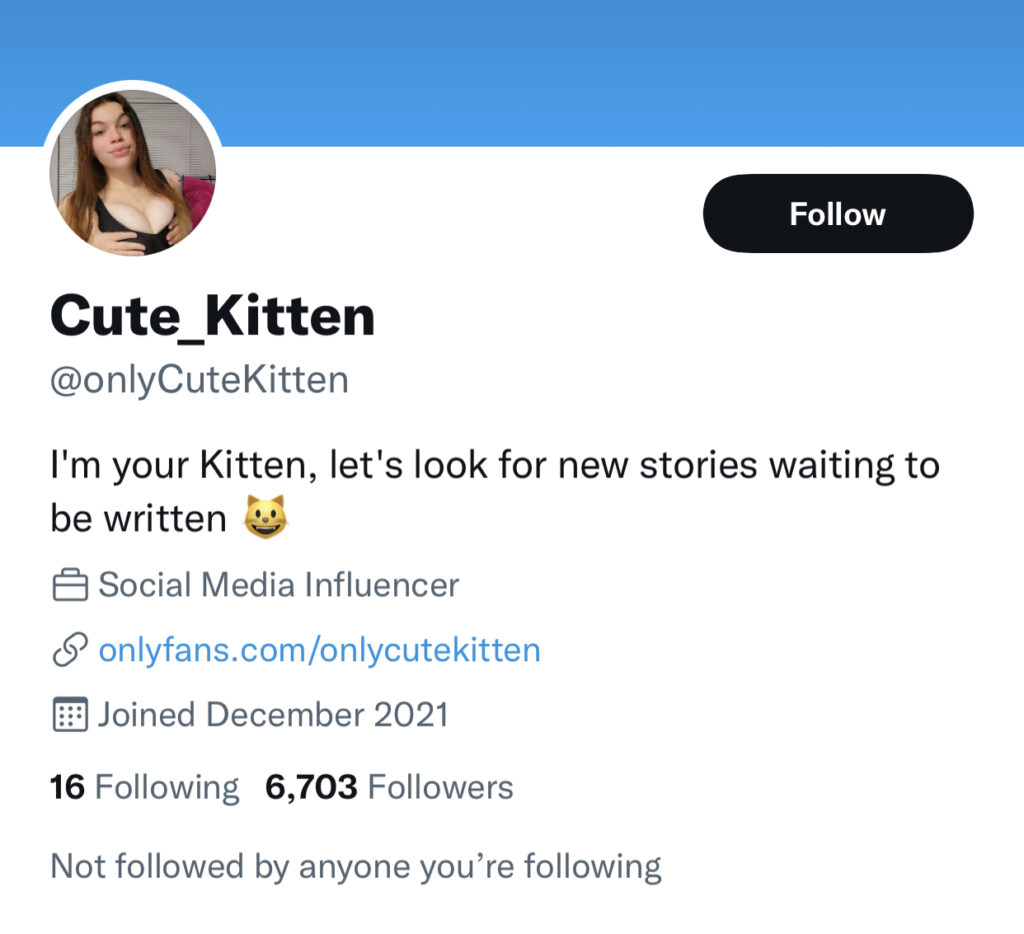 Only Cute Kitten Onlyfans Leaked Video Went Viral 